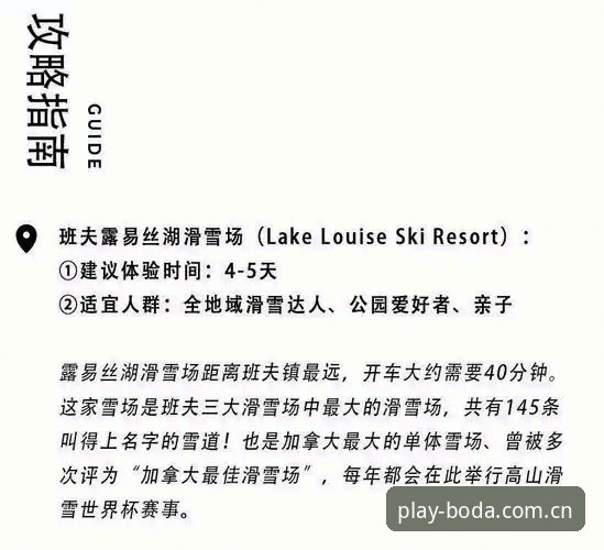 半岛体育APP安装使用全面解析：从下载到畅享的完整指南