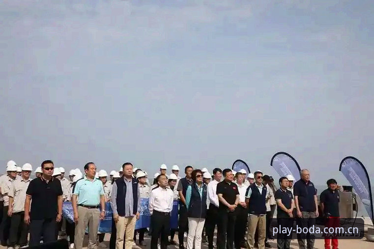 半岛体育怎么下载：体育赛事平台获取与安装流程深度分析